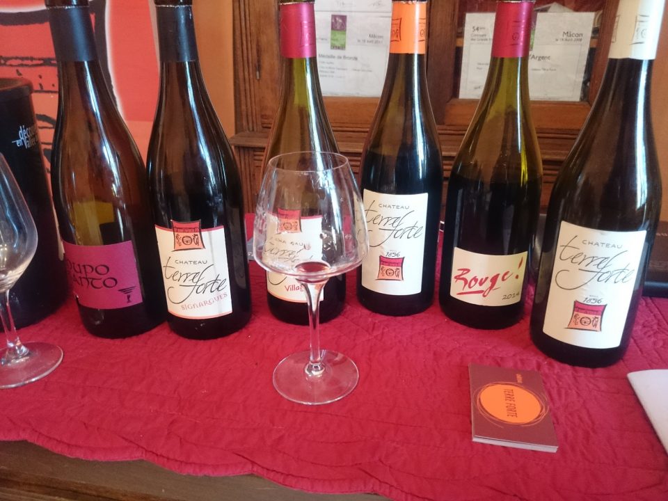 Degustace s vinaři: Château TERRE FORTE - Za rohem